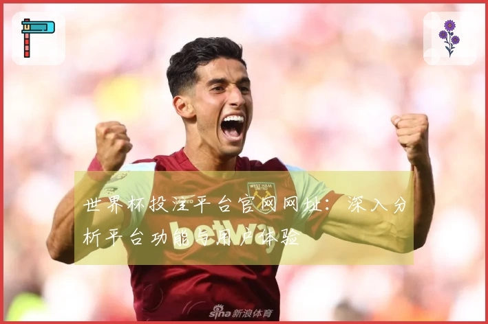 世界杯投注平台官网网址：深入分析平台功能与用户体验