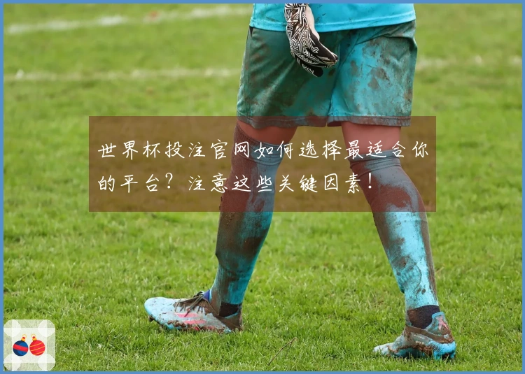 世界杯投注官网如何选择最适合你的平台？注意这些关键因素！