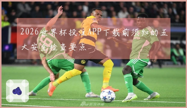 2026世界杯投注APP下载前须知的五大安全检查要点