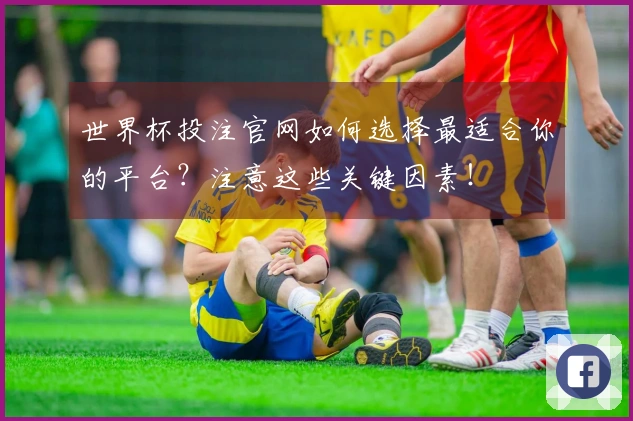 世界杯投注官网如何选择最适合你的平台？注意这些关键因素！