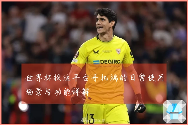 世界杯投注平台手机端的日常使用场景与功能详解