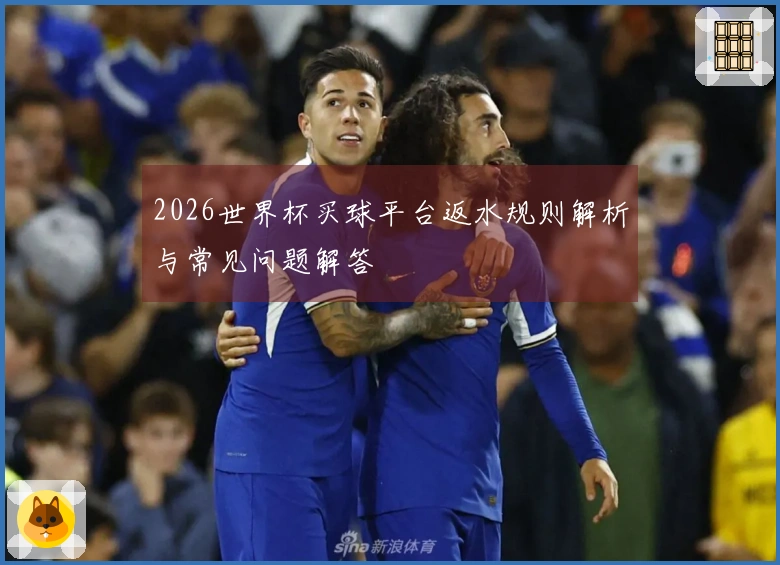 2026世界杯买球平台返水规则解析与常见问题解答