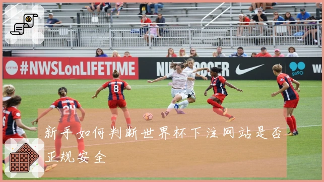 新手如何判断世界杯下注网站是否正规安全