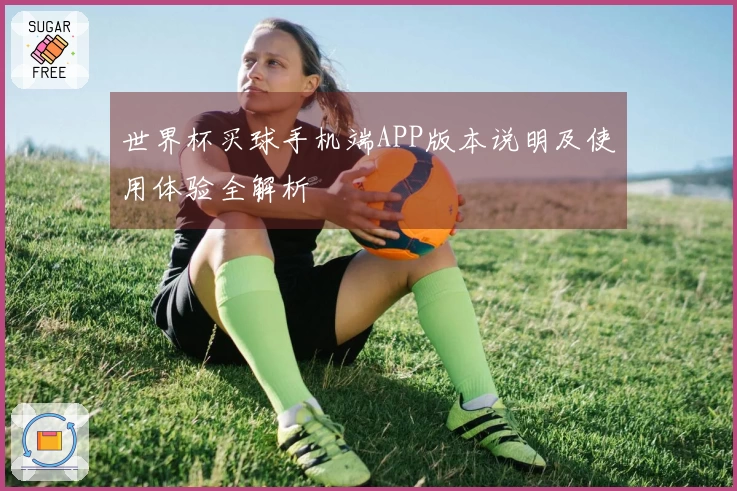 世界杯买球手机端APP版本说明及使用体验全解析