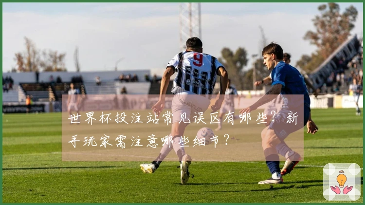 世界杯投注站常见误区有哪些？新手玩家需注意哪些细节？