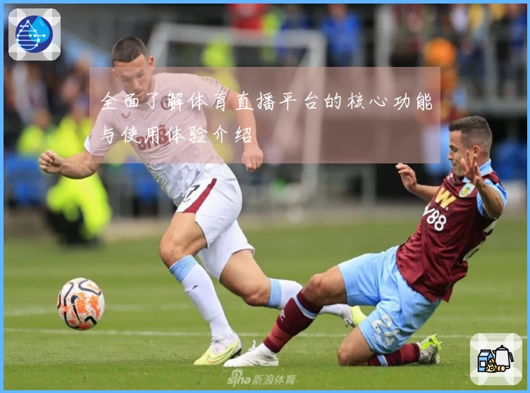 全面了解体育直播平台的核心功能与使用体验介绍