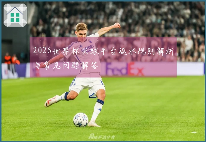 2026世界杯买球平台返水规则解析与常见问题解答