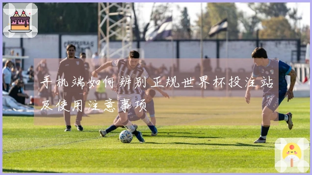 手机端如何辨别正规世界杯投注站及使用注意事项