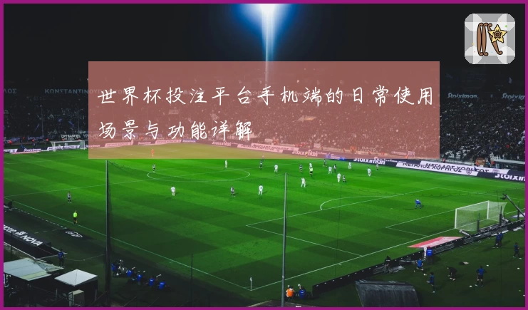 世界杯投注平台手机端的日常使用场景与功能详解