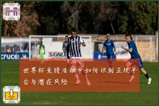 世界杯竞猜活动中如何识别正规平台与潜在风险