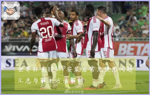 世界杯竞猜APP安装后常见使用问题汇总与解决方法解析