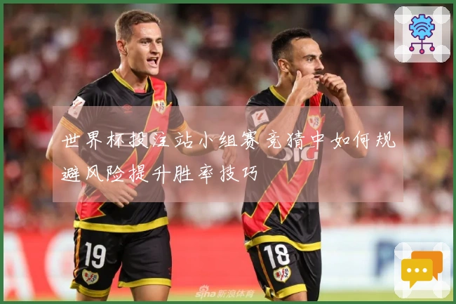 世界杯投注站小组赛竞猜中如何规避风险提升胜率技巧
