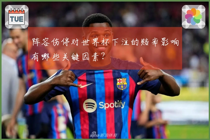 阵容伤停对世界杯下注的赔率影响有哪些关键因素？