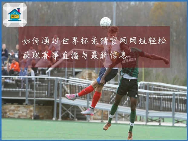 如何通过世界杯竞猜官网网址轻松获取赛事直播与最新信息