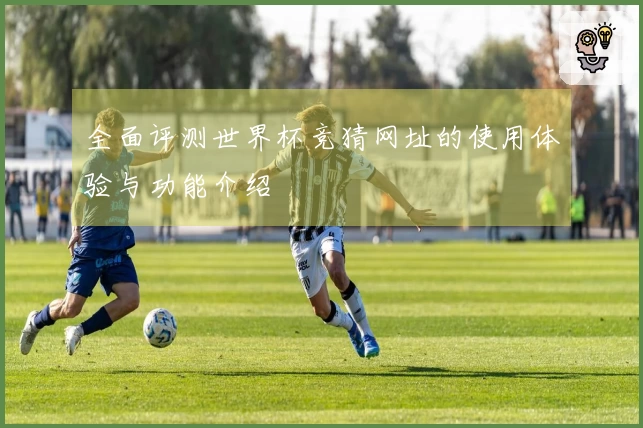 全面评测世界杯竞猜网址的使用体验与功能介绍