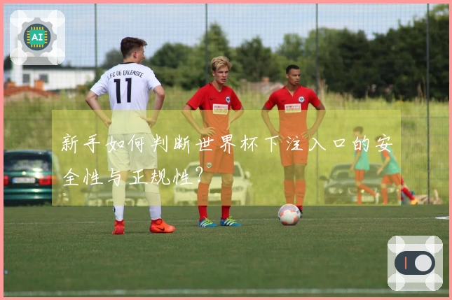 新手如何判断世界杯下注入口的安全性与正规性？