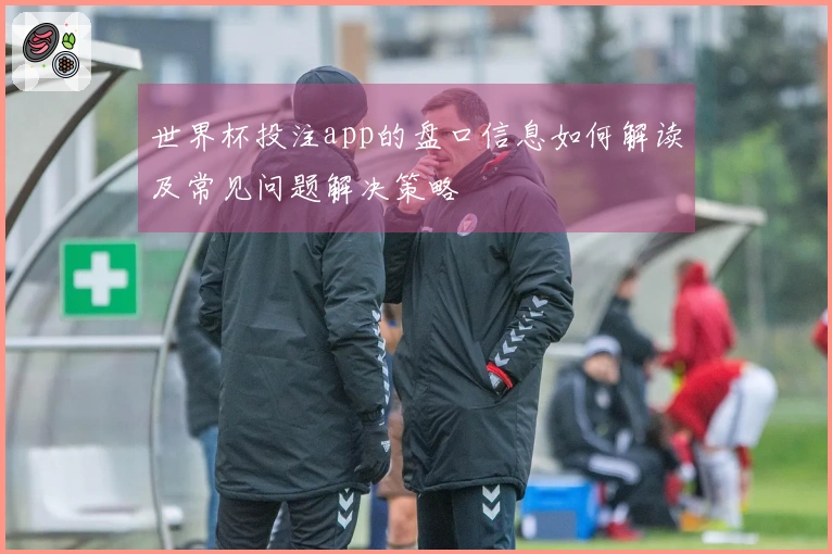 世界杯投注app的盘口信息如何解读及常见问题解决策略