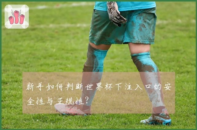新手如何判断世界杯下注入口的安全性与正规性？