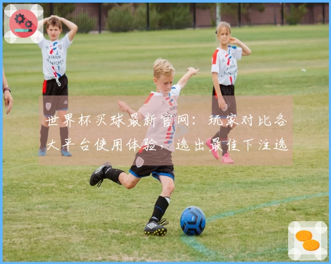 世界杯买球最新官网：玩家对比各大平台使用体验，选出最佳下注选择