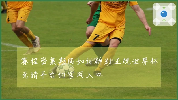 赛程密集期间如何辨别正规世界杯竞猜平台的官网入口